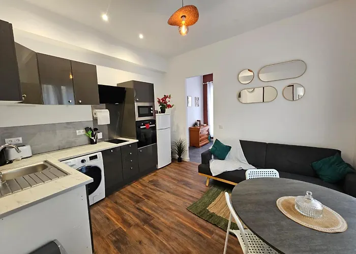 Les Sureaux, Le Charme Du Centre De Appartement Perpignan